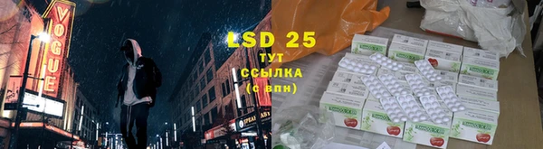 индика Алексин
