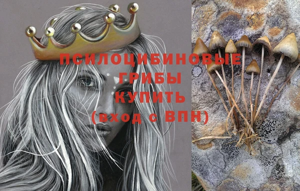 мдпв Абинск