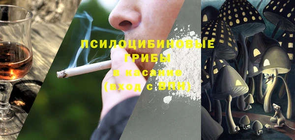 индика Алексин