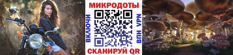 Псилоцибиновые грибы прущие грибы Гусь-Хрустальный